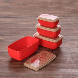 時(shí)代特色長方形保鮮盒